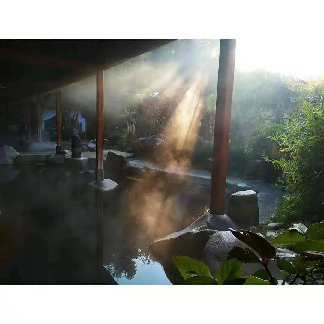 2025管家婆一肖一特,揭秘未来管家婆，一肖一特与智能生活的深度交融