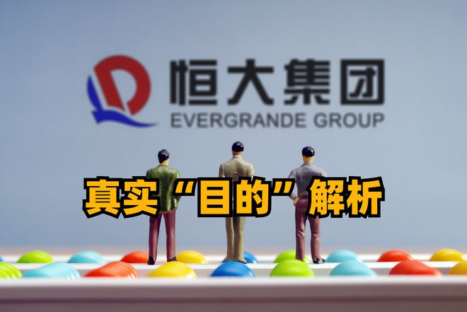 百科 第411页