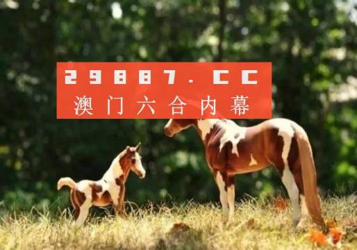 澳门今晚开特马四不像图,澳门今晚特马四不像图揭晓，探索神秘与机遇的交汇点