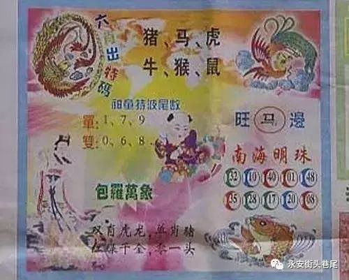 三肖必中特三肖三码官方下载,揭秘三肖必中特三肖三码官方下载的秘密