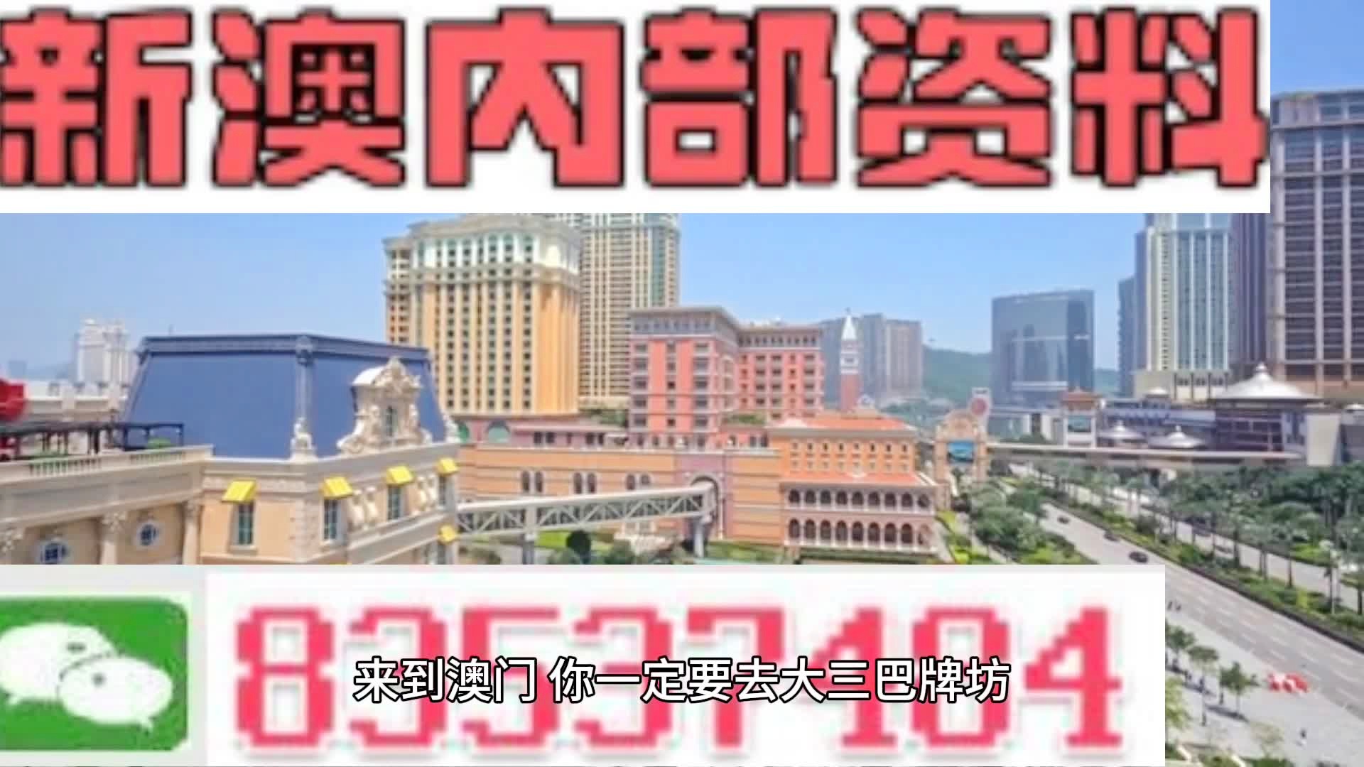 新奥门免费全年资料查询,新澳门免费全年资料查询，探索与便捷性
