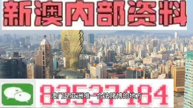 澳门内部资料精准公开,澳门内部资料精准公开，揭秘历史与现实的发展脉络