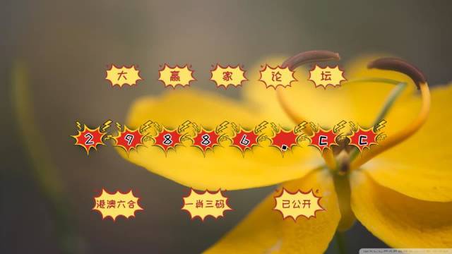 494949澳码今晚开什么123,探索澳码世界，今晚494949将揭晓何种神秘数字？