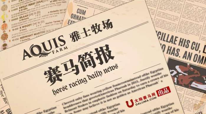 2025澳门特马今晚开奖165,澳门特马今晚开奖，探索彩票背后的故事与期待