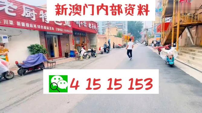 2025澳门天天开好彩大全香港,澳门与香港，展望未来的繁荣与好运（2025澳门天天开好彩大全香港）