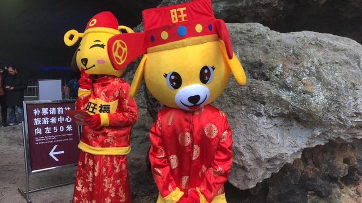 今晚买什么生肖最准确,今晚买什么生肖最准确，揭秘生肖运势与彩票预测的神秘面纱