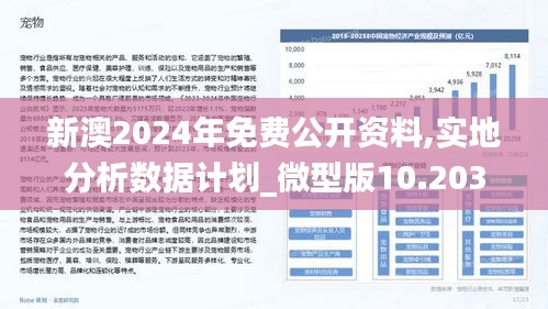 2025新澳精准资料,探索未来之路，解析新澳精准资料在2025年的重要角色