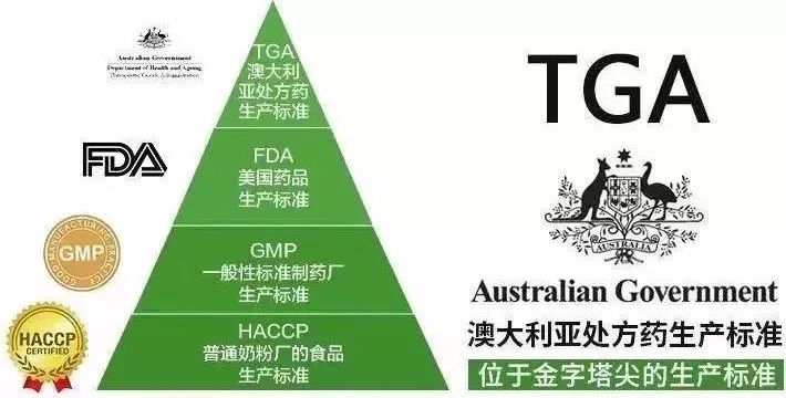 2025新澳免费资料40期,探索2025新澳免费资料第40期，深度解析与预测