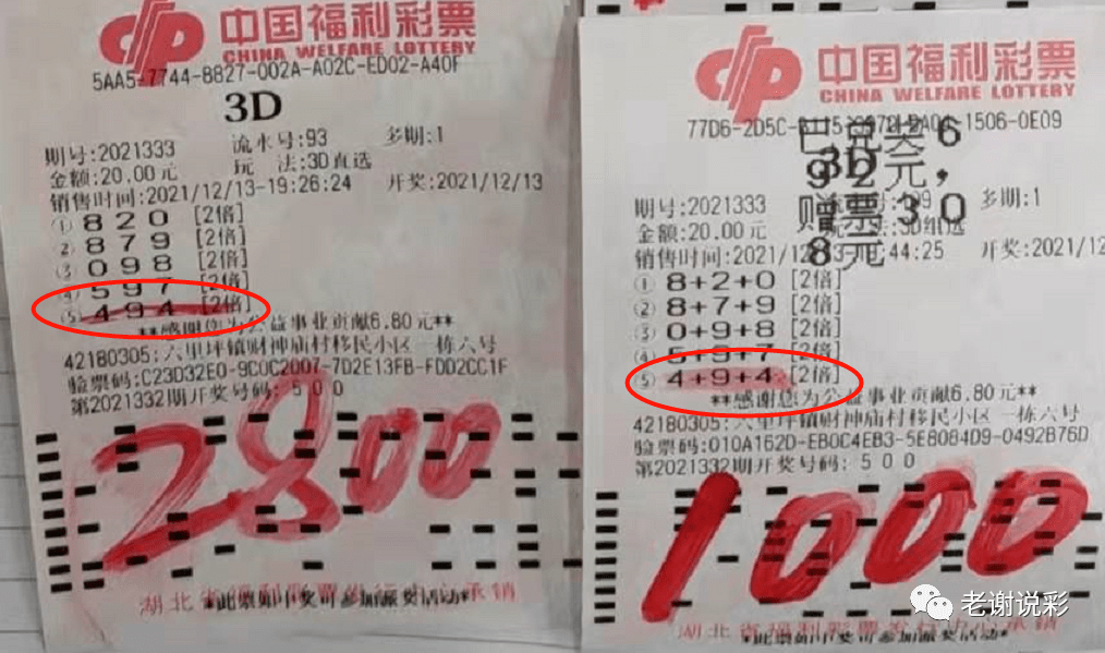 新澳天天开奖免费资料,新澳天天开奖免费资料，探索彩票世界的秘密
